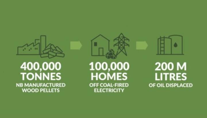 全球48%的木屑顆粒消費(fèi)來自住宅和商業(yè)建筑。從2020年到2021年，歐洲家庭生物質(zhì)消費(fèi)量增長了18%，商業(yè)應(yīng)用增長了12.5%。