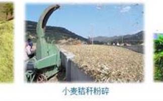 農(nóng)民科學發(fā)展新思路，秸稈綜合利用成為賺錢好門路之秸稈顆粒機