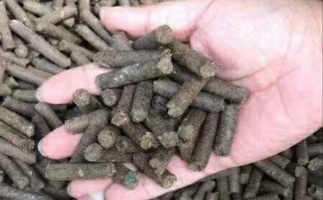 水果渣越來(lái)越受歡迎，因?yàn)樗某霈F(xiàn)—生物質(zhì)顆粒機(jī)設(shè)備