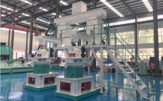 木屑顆粒機多少錢一臺?建顆粒廠大約多少錢？