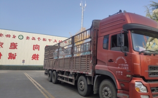 忙碌的五月，忙碌的發(fā)貨，金格瑞顆粒機(jī)生產(chǎn)線發(fā)往全國(guó)各地