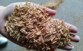 為什么稻殼較難燃燼?稻殼顆粒機(jī)生產(chǎn)顆粒幾個(gè)步驟？