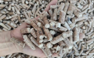 木材加工廠木屑堆積如山，環(huán)保部門(mén)令趕緊處理怎么辦？有它就夠了