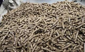 鋸末顆粒機(jī)的顆粒燃料比煤炭貴，為什么還有那么多人用？