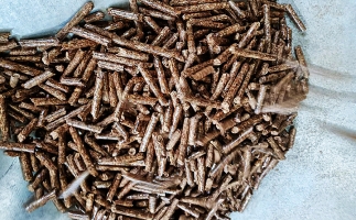 如何選擇鋸末顆粒機(jī)的顆粒燃料？講解！