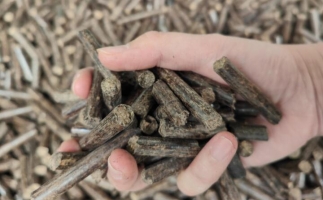 煤炭熱值那么高，為什么還要燒鋸末顆粒機的生物質(zhì)顆粒燃料？
