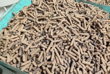 木屑顆粒機(jī)加工的顆粒燃料的環(huán)保優(yōu)勢分析